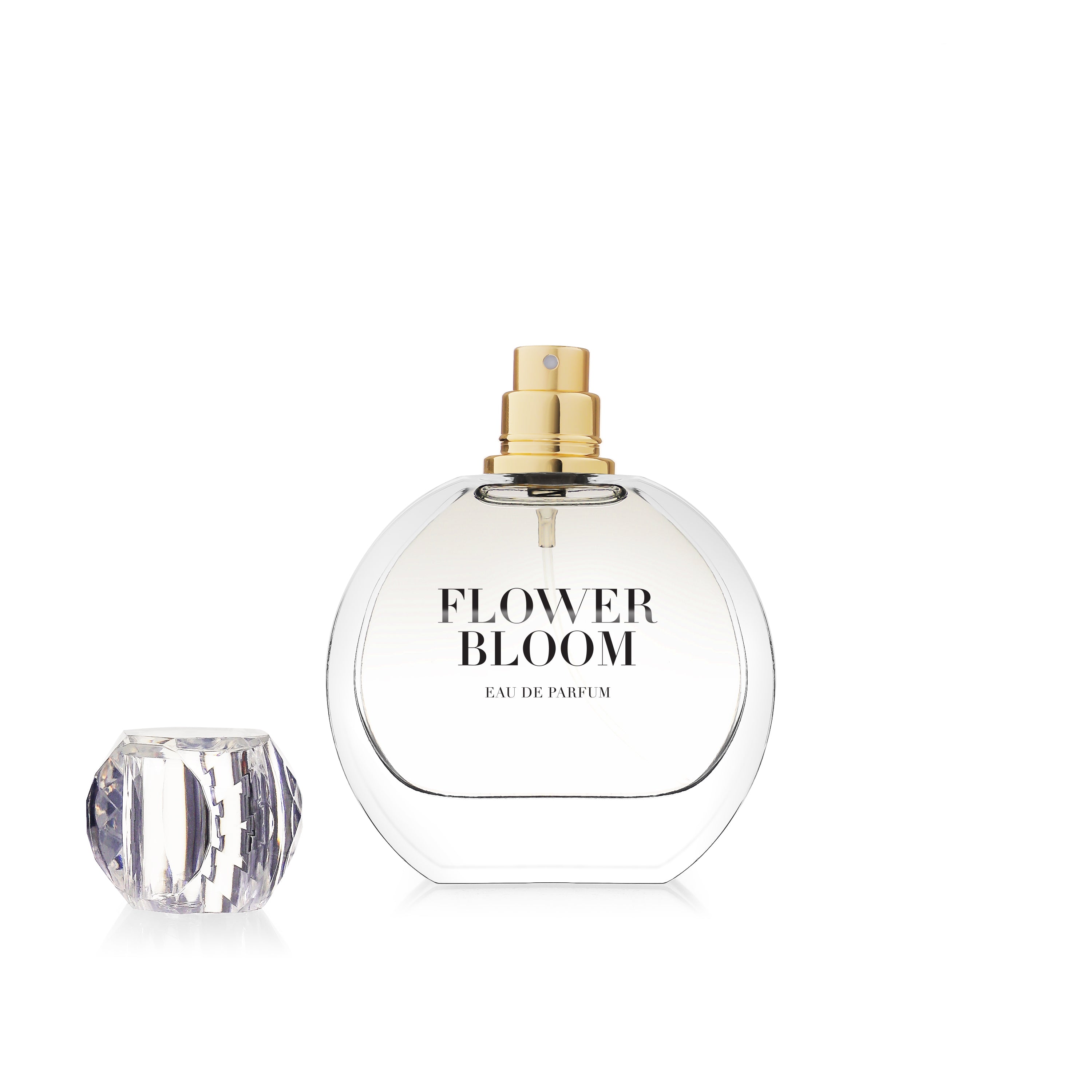 Flower Bloom